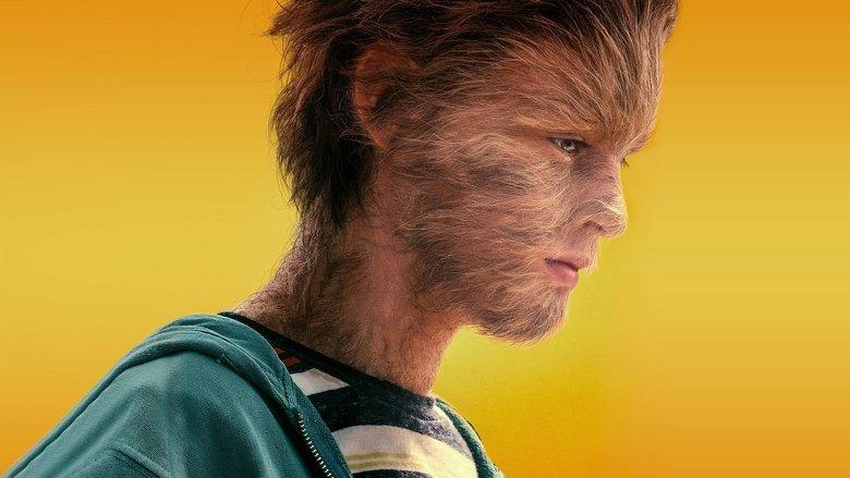The True Adventures of Wolfboy image