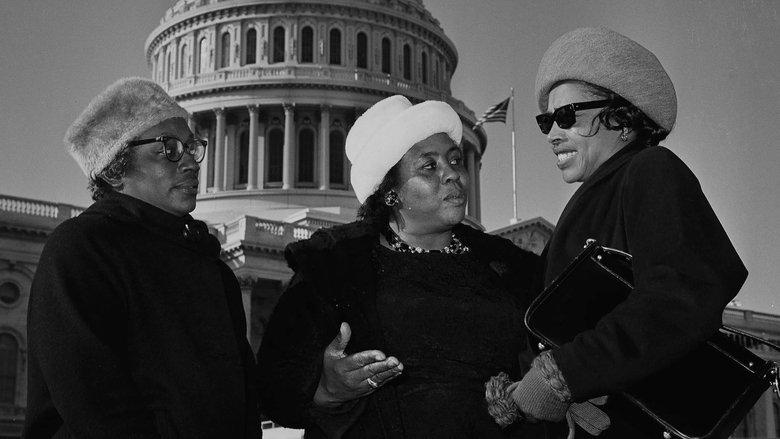 Fannie Lou Hamer’s America image