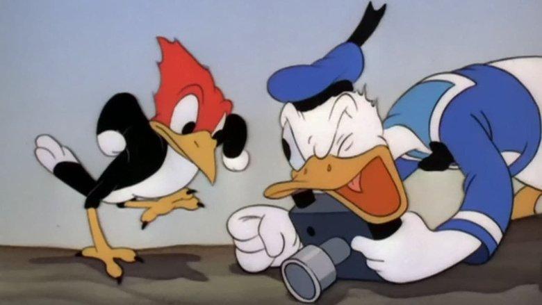 Donald's Camera image