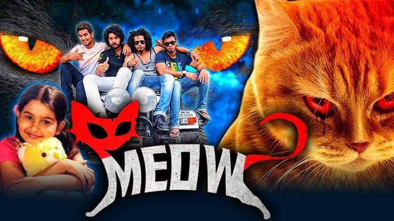 Meow image