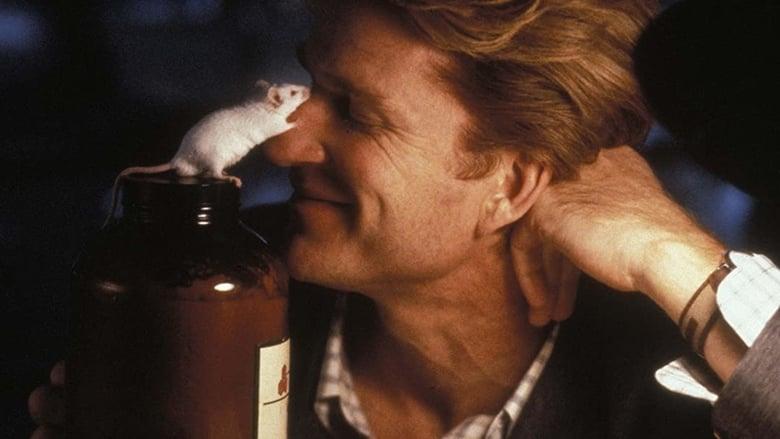 Flowers for Algernon image