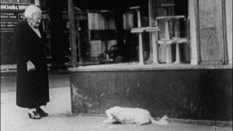 In the Street image