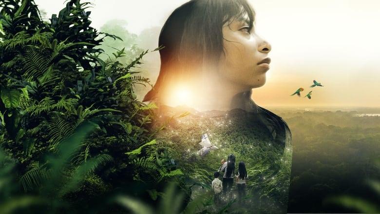 Operation Hope - The Children Lost in the Amazon image