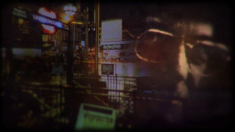 The Nilsen Files image
