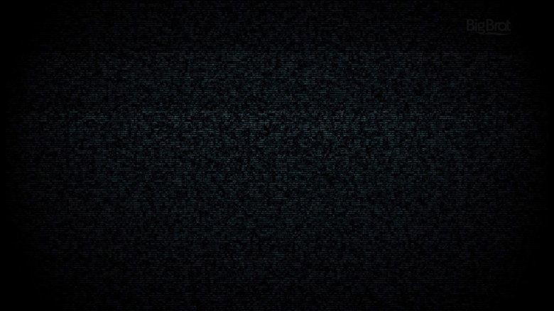 Big Brother image