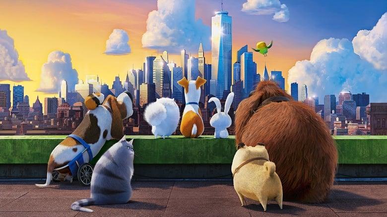The Secret Life of Pets image