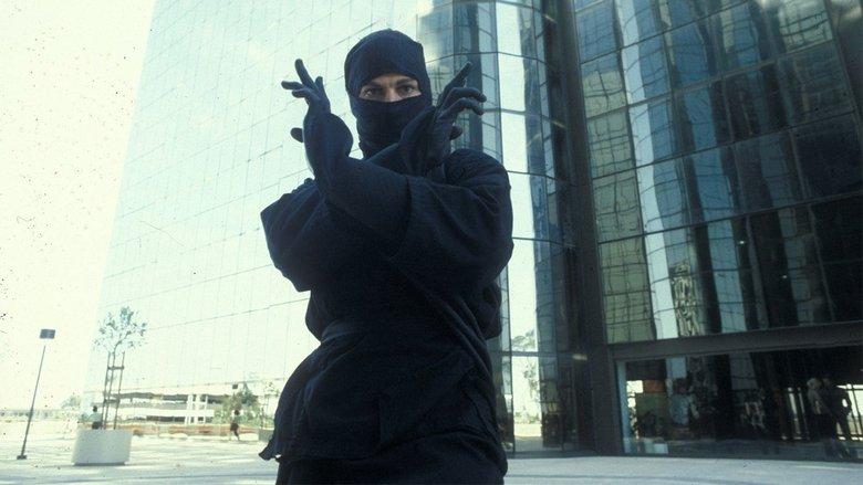 The Last Ninja image