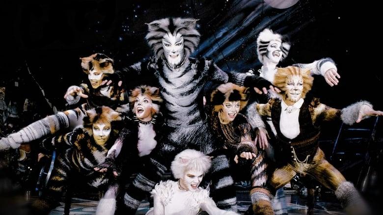Cats image