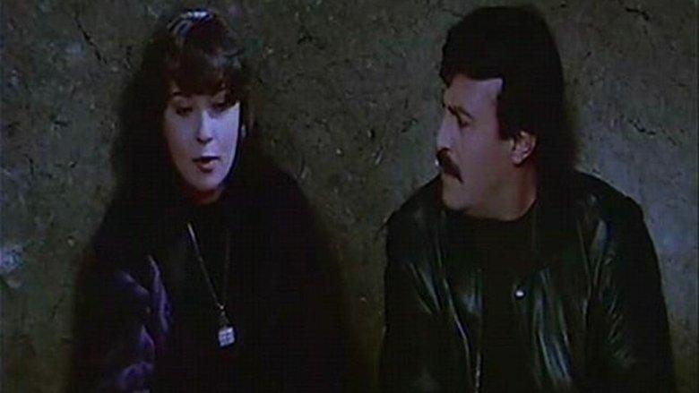 The Two Fugitives image