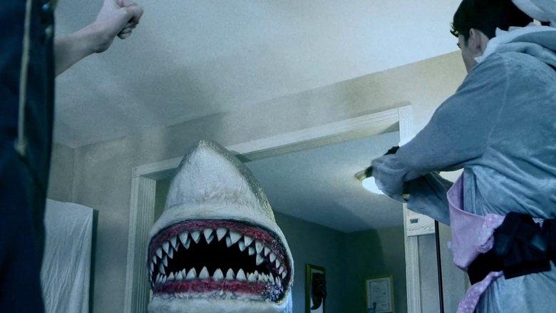 House Shark image