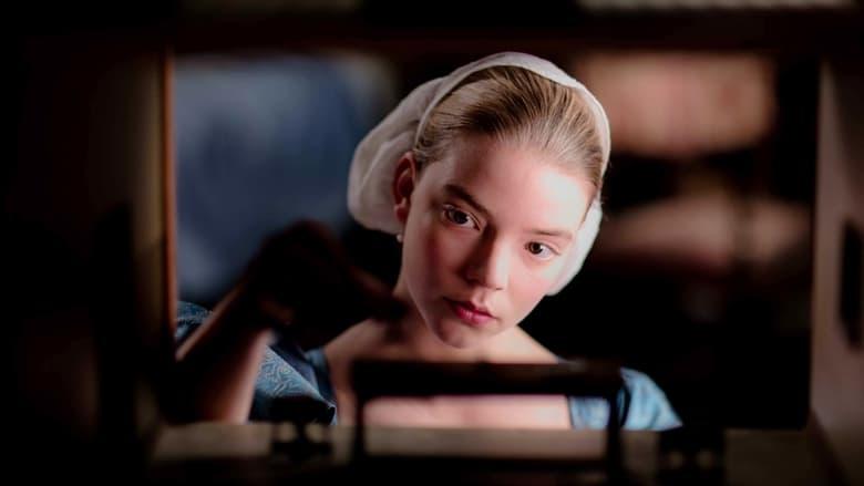 The Miniaturist image