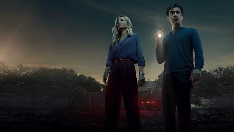 Vanished into the Night image