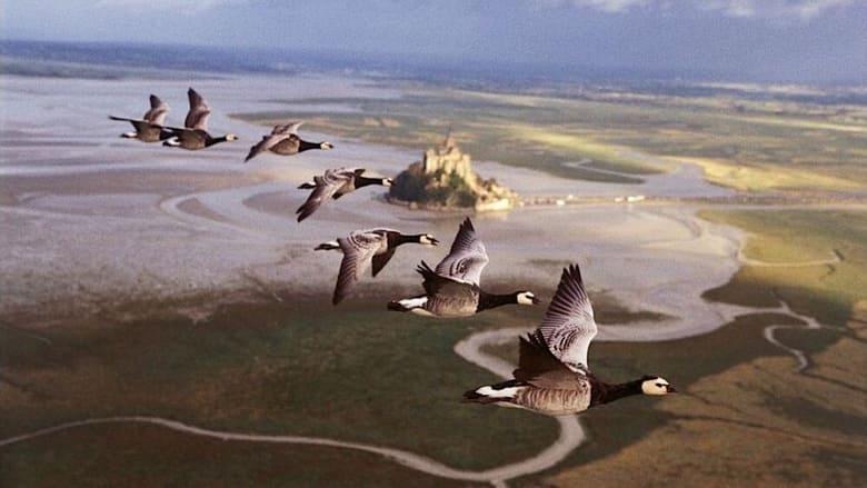 Winged Migration image