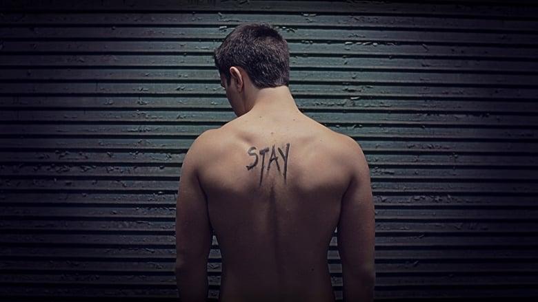 Stay image