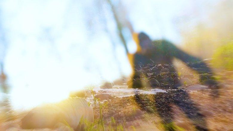 On The Trail of Bigfoot: The Last Frontier image