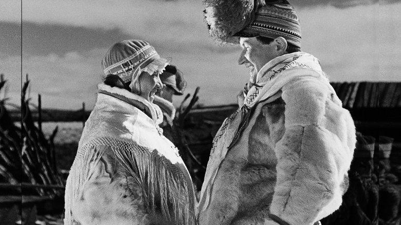Son of the Midnight Sun image