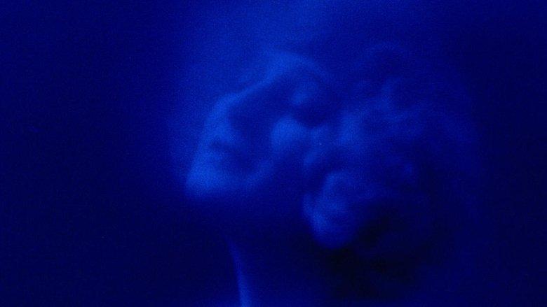 Phantom image