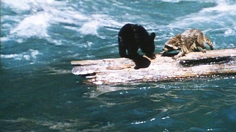 A Tale of Two Critters image