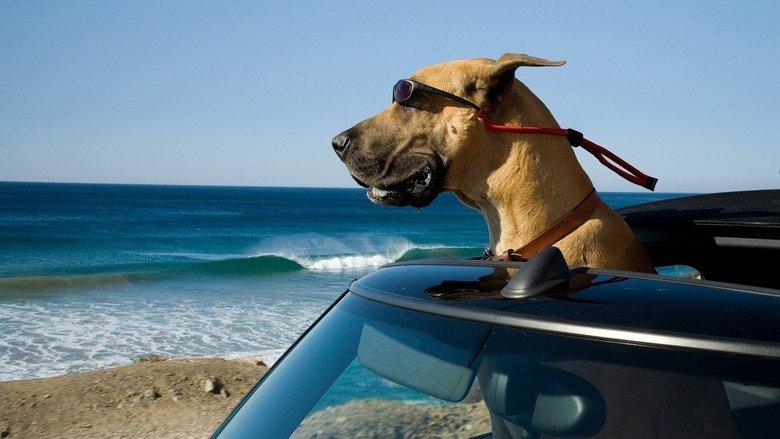 Marmaduke image