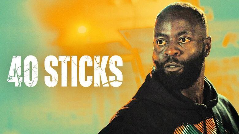 40 Sticks image