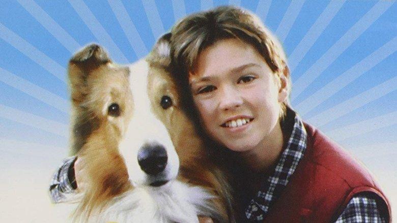 Lassie image