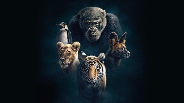 Dynasties image