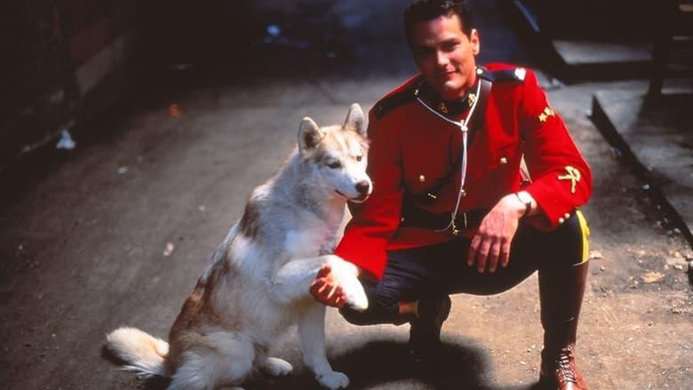 Due South image
