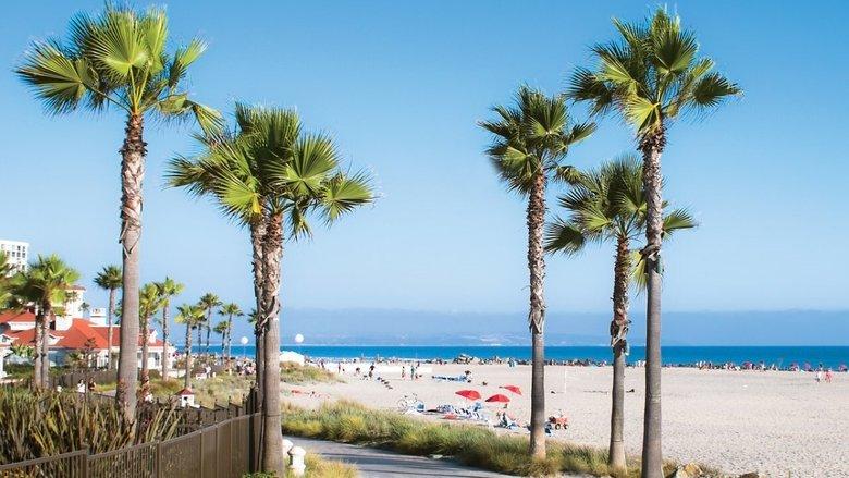 California Dreaming – Der Zukunft einen Schritt voraus image