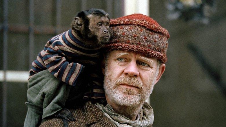 The Wool Cap image