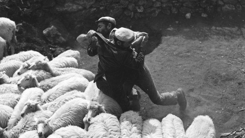 Bandits of Orgosolo image