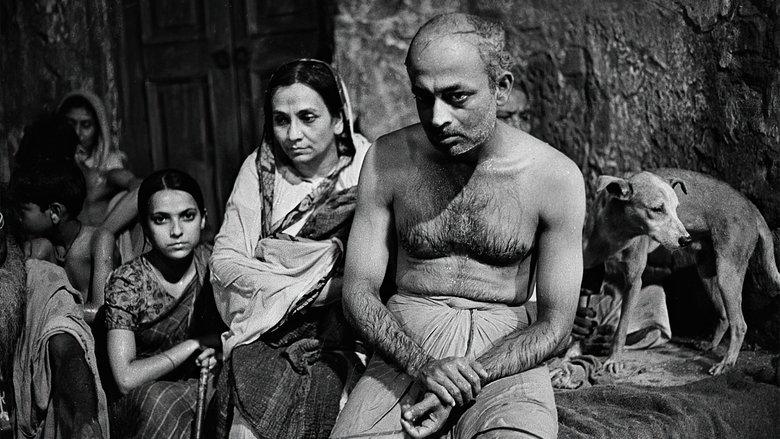 Calcutta 71 image