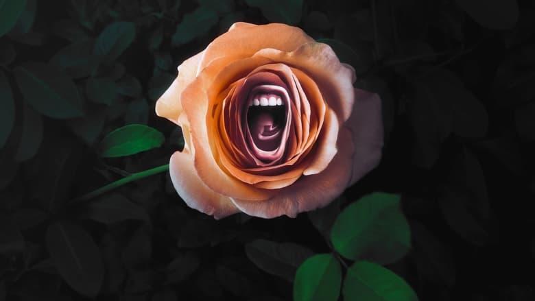 Roar image
