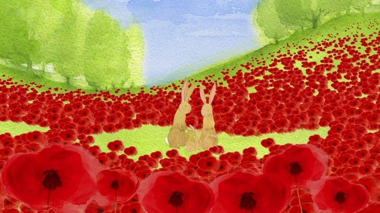 Poppies image