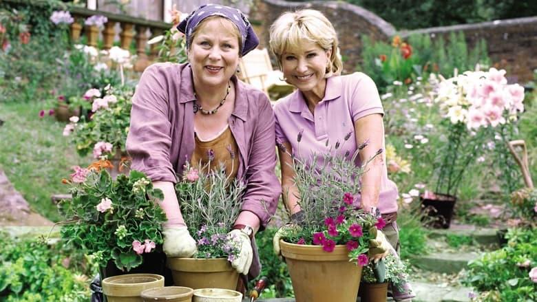 Rosemary & Thyme image