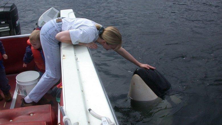 The Whale image