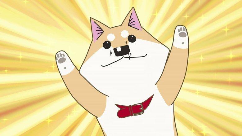 Lovely Muuuuuuuco! image