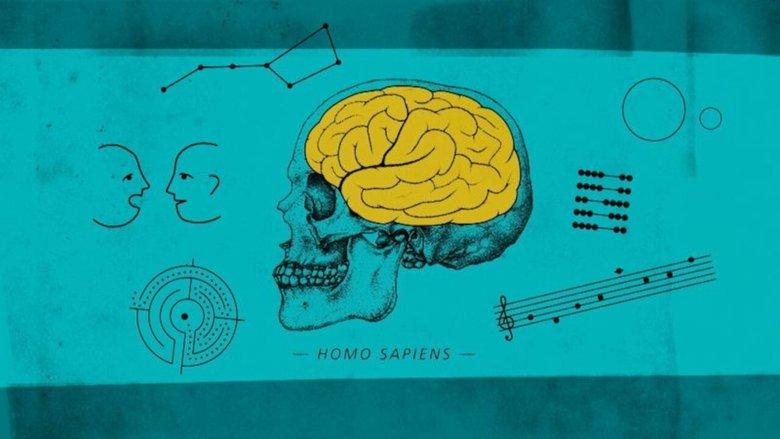 Human By Chance? image