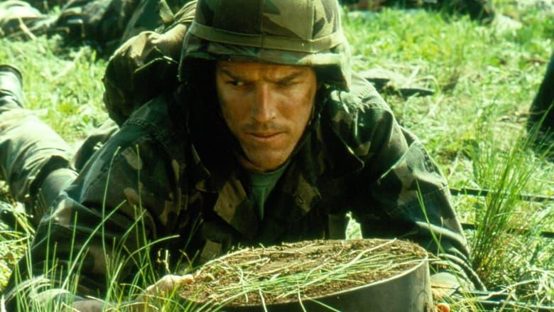 Marines image