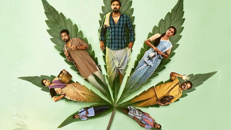 Accidental Farmer & Co. image