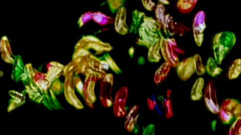 Glaze of Cathexis image