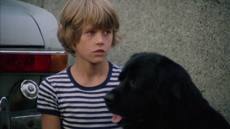 Hang on, Doggy image