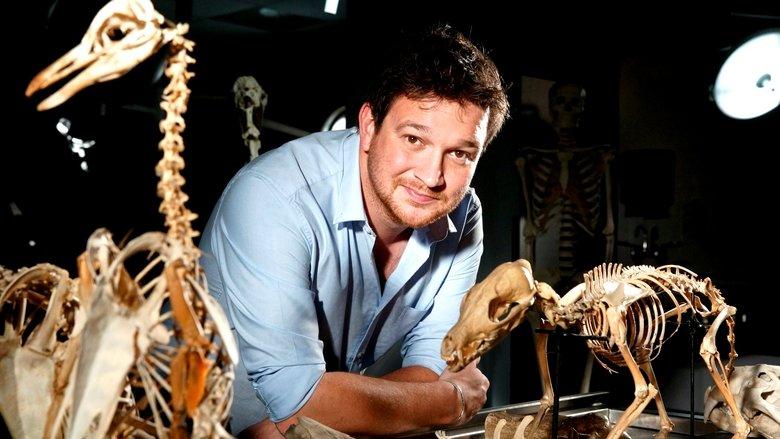 Secrets of Bones image