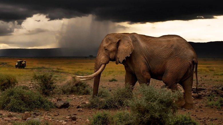 Chasing the Rains image