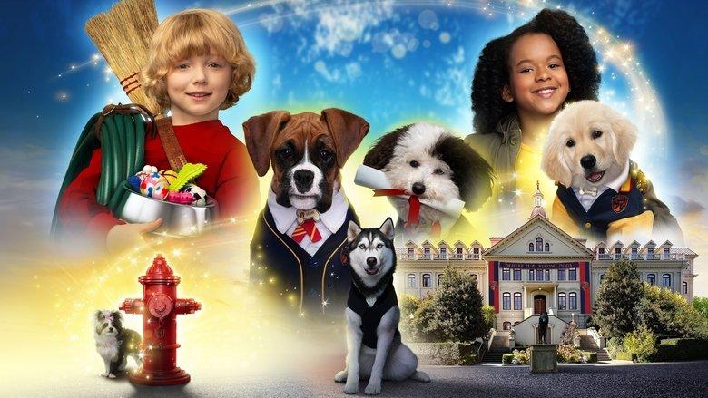 Pup Academy image