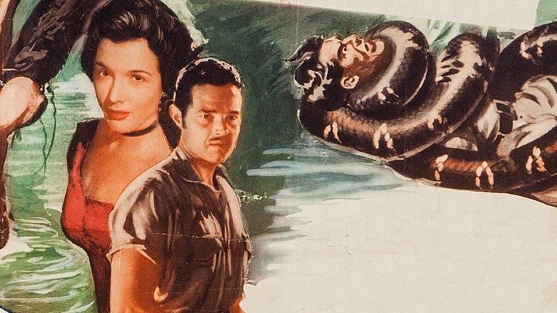 Amazon Quest image