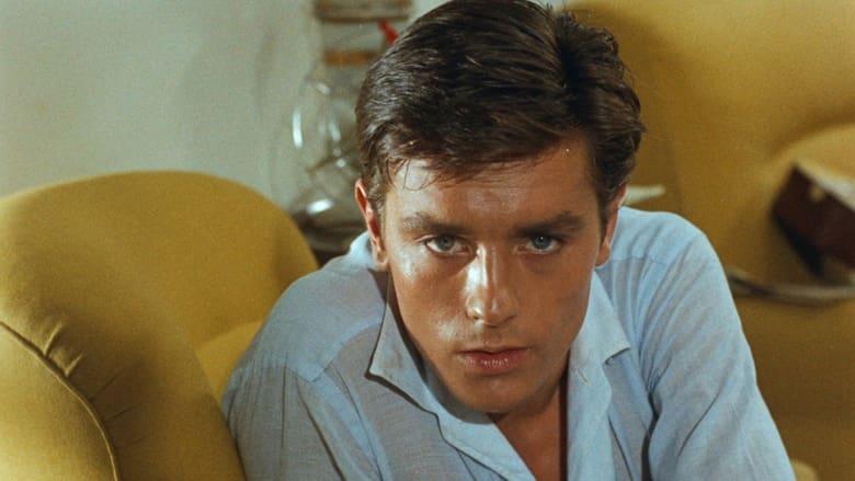 Purple Noon image
