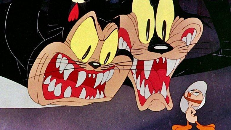 A Tale of Two Kitties image