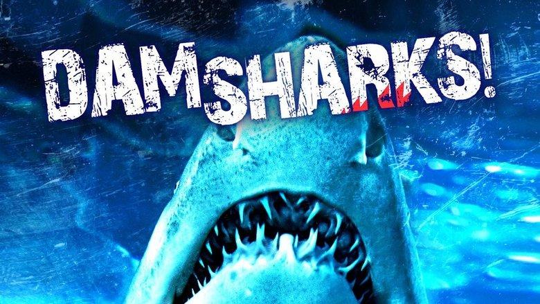 Dam Sharks! image