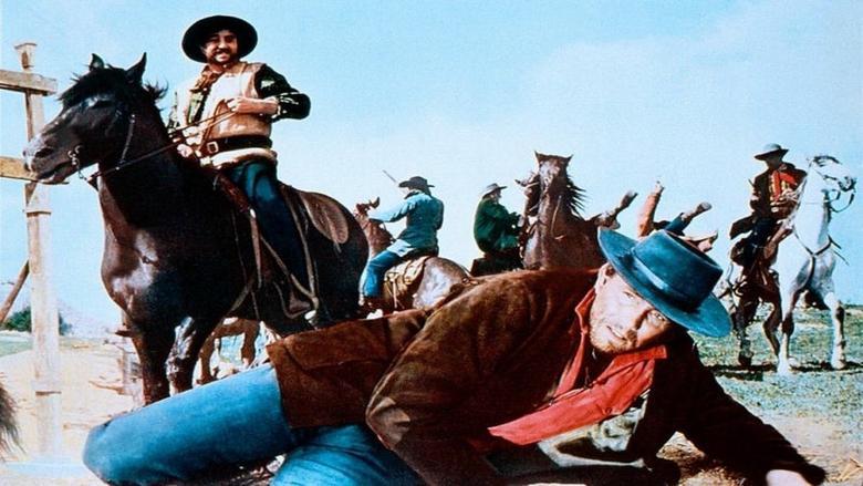 A Few Dollars for Django image
