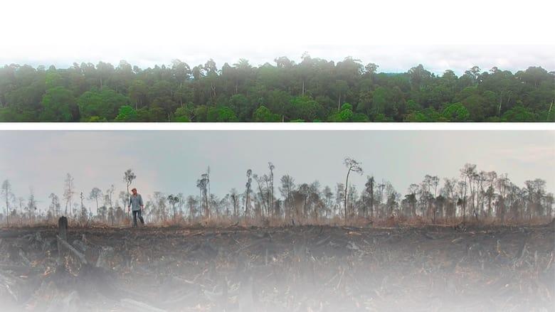 The Green Lie image